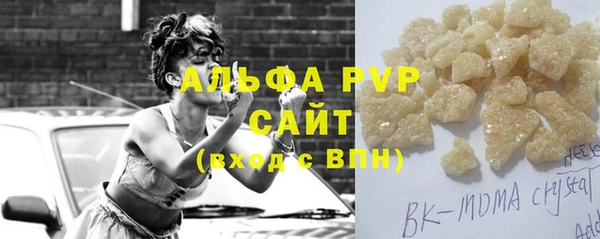 прущие грибы Беломорск