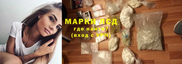 прущие грибы Беломорск