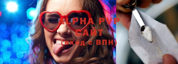 прущие грибы Беломорск