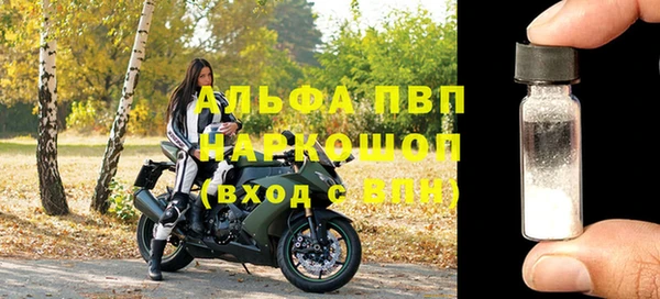 прущие грибы Беломорск
