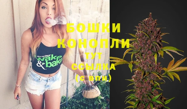 тгк Белокуриха